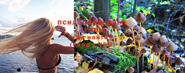 бутик Абаза
