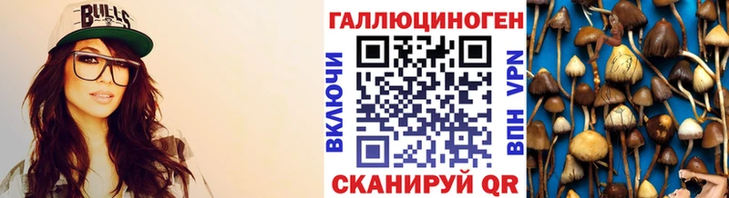 сколько стоит  Прокопьевск  Галлюциногенные грибы Psilocybine cubensis 