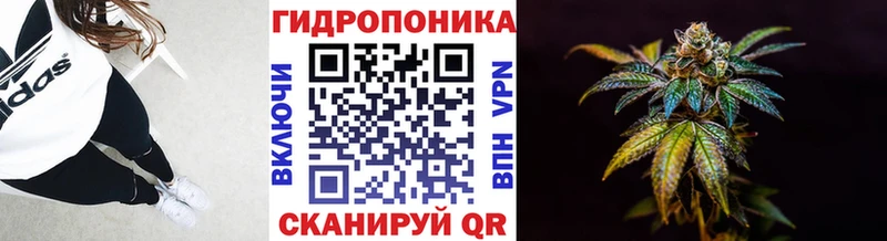 цены наркотик  Прокопьевск  mega tor  Шишки марихуана White Widow 